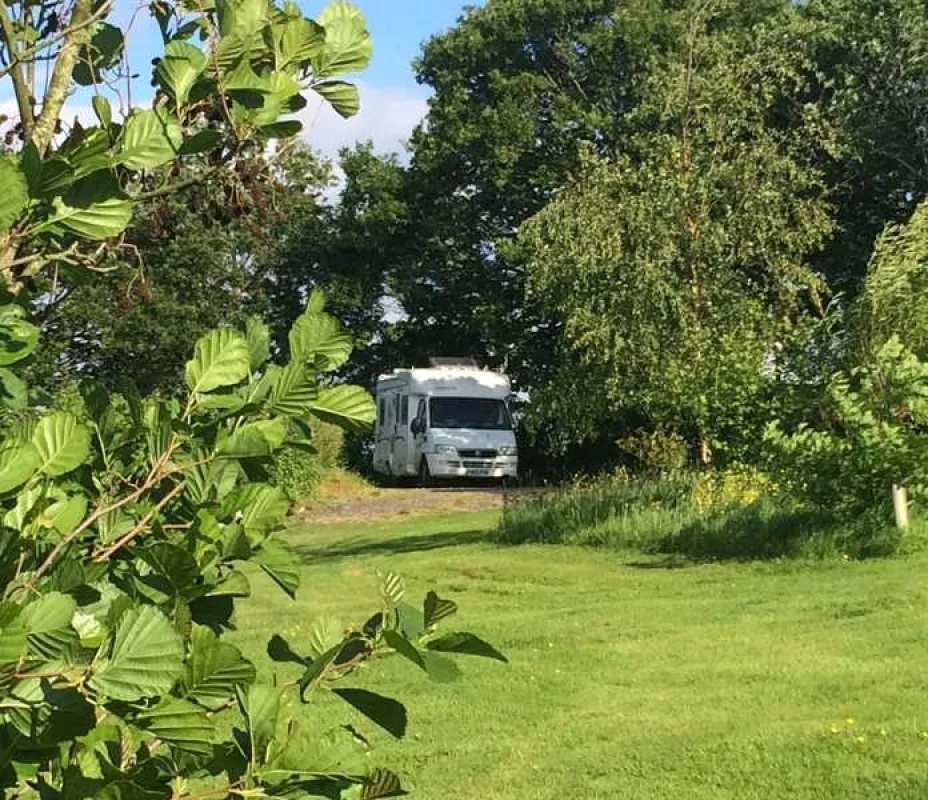 Harmony Wood Naturist Campsite Certificated Site