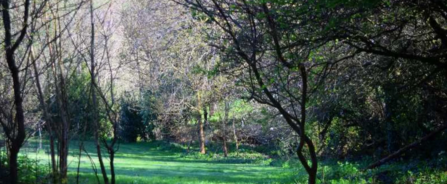 Harmony Wood Naturist Campsite Certificated Site