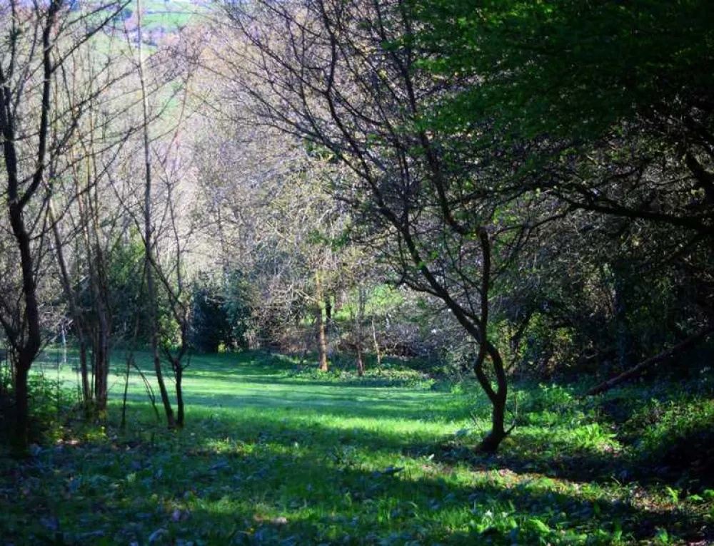 Harmony Wood Naturist Campsite Certificated Site