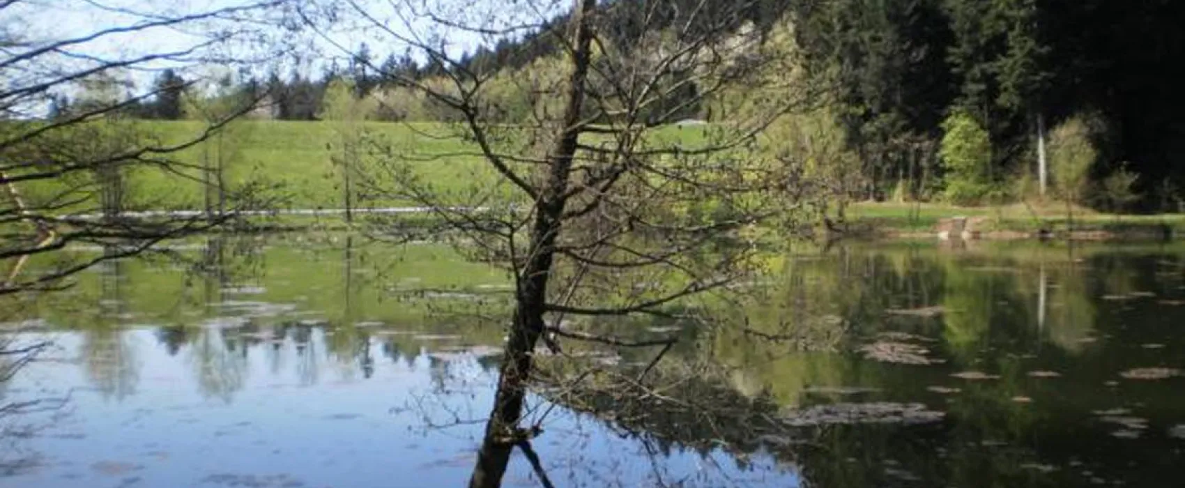 Campingplatz Götzenbachsee