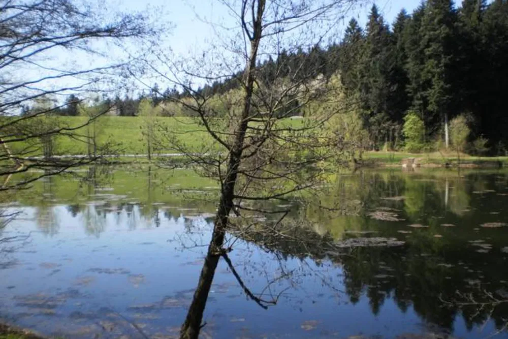 Campingplatz Götzenbachsee
