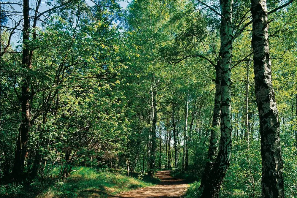 Lisebergs Camping Delsjön