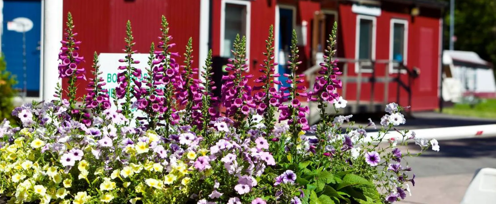 Lisebergs Camping Delsjön