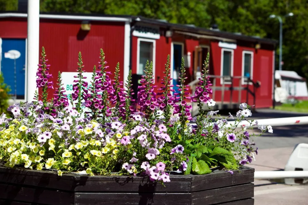 Lisebergs Camping Delsjön