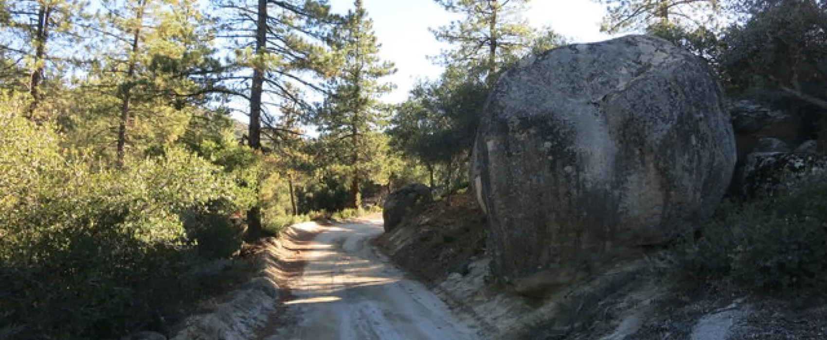 Tool Box Springs Yellow Post Campsites