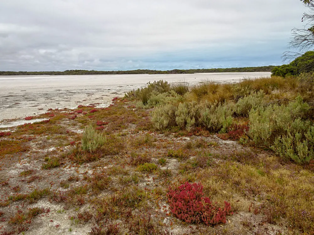 Loop Road Campground