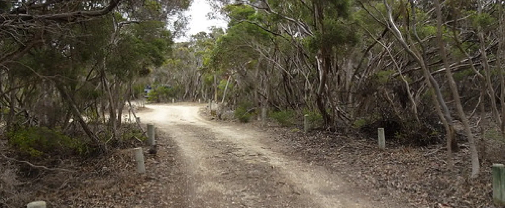 Loop Road Campground