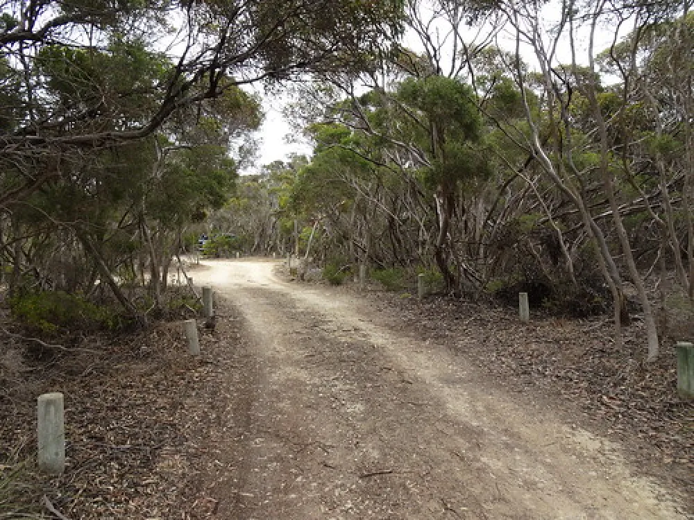 Loop Road Campground