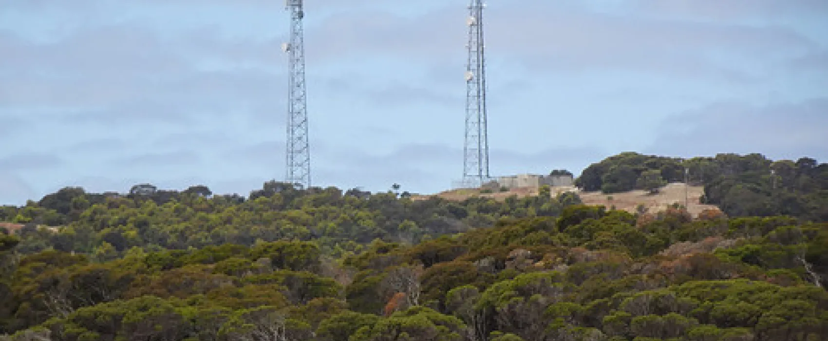 Loop Road Campground