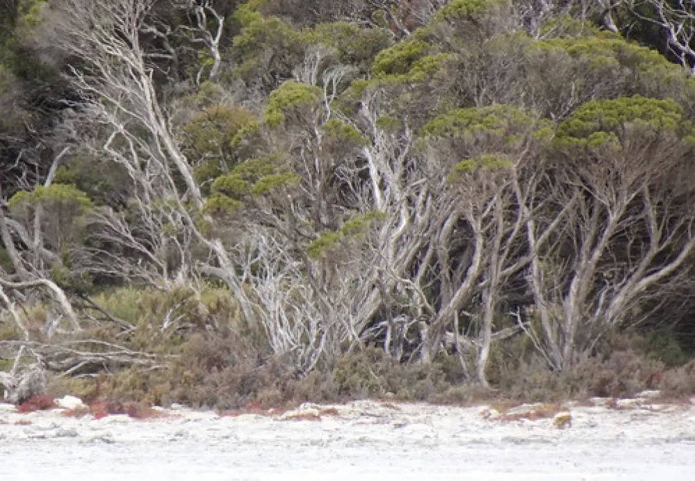 Loop Road Campground