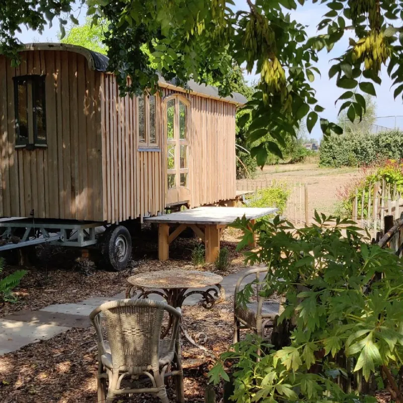 Pipowagencamping Het Houten Huis