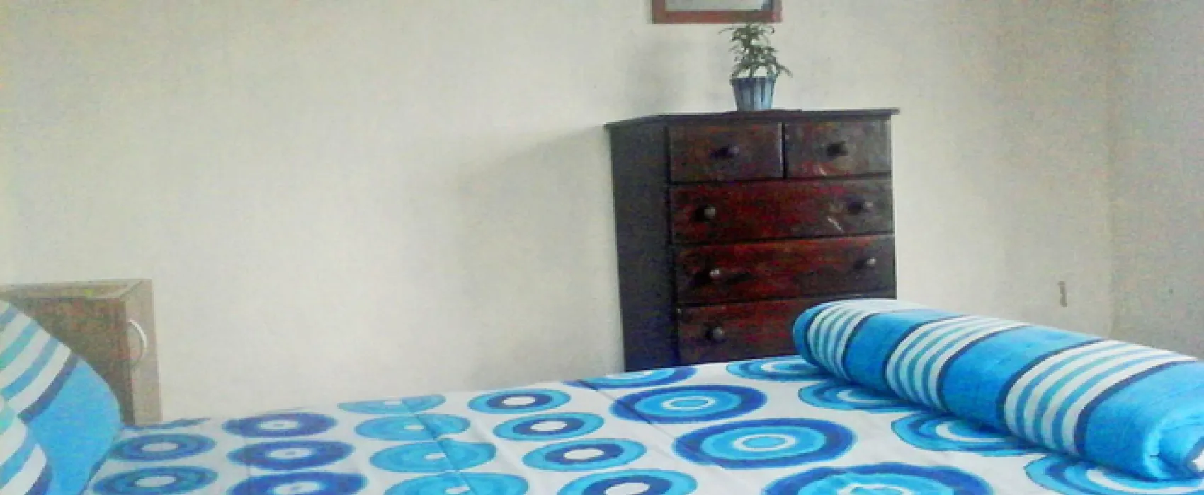 Freedom O Clock Backpackers