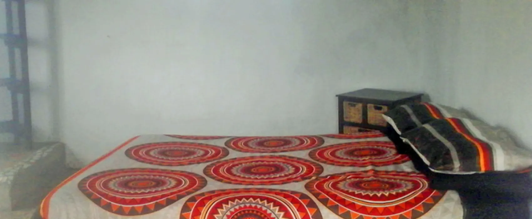 Freedom O Clock Backpackers