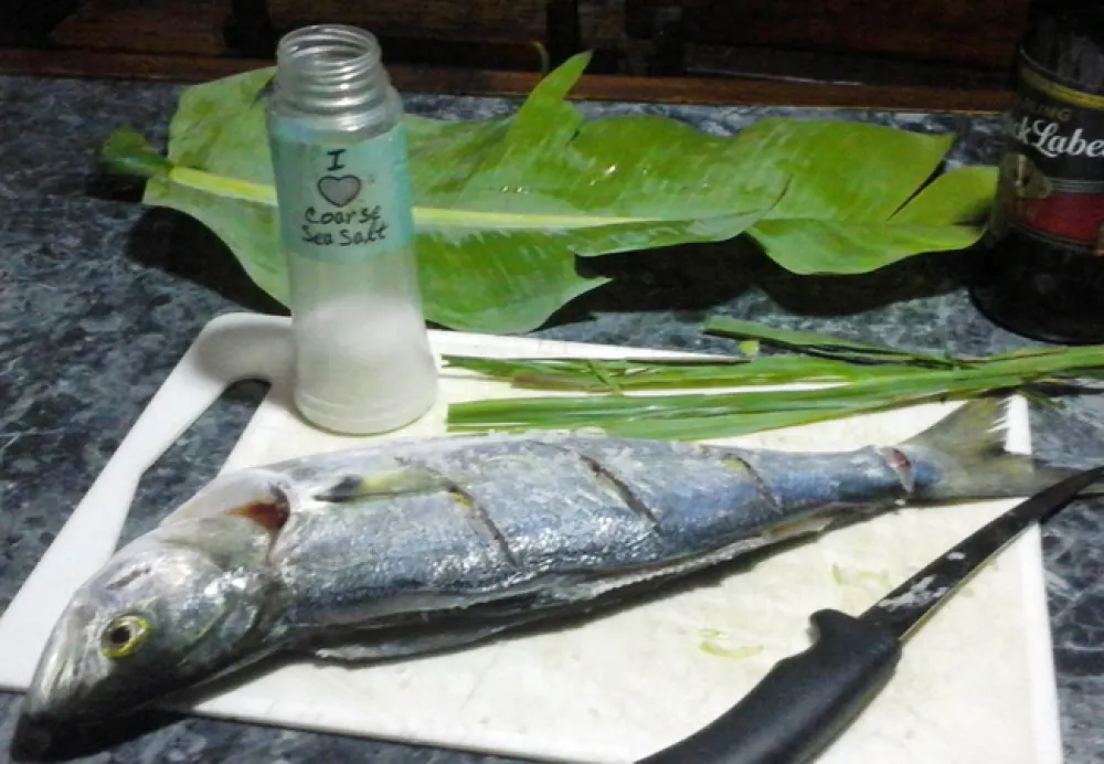 Freedom O Clock Backpackers