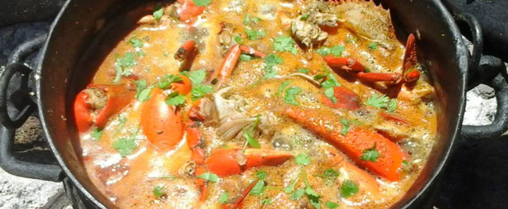 Freedom O Clock Backpackers