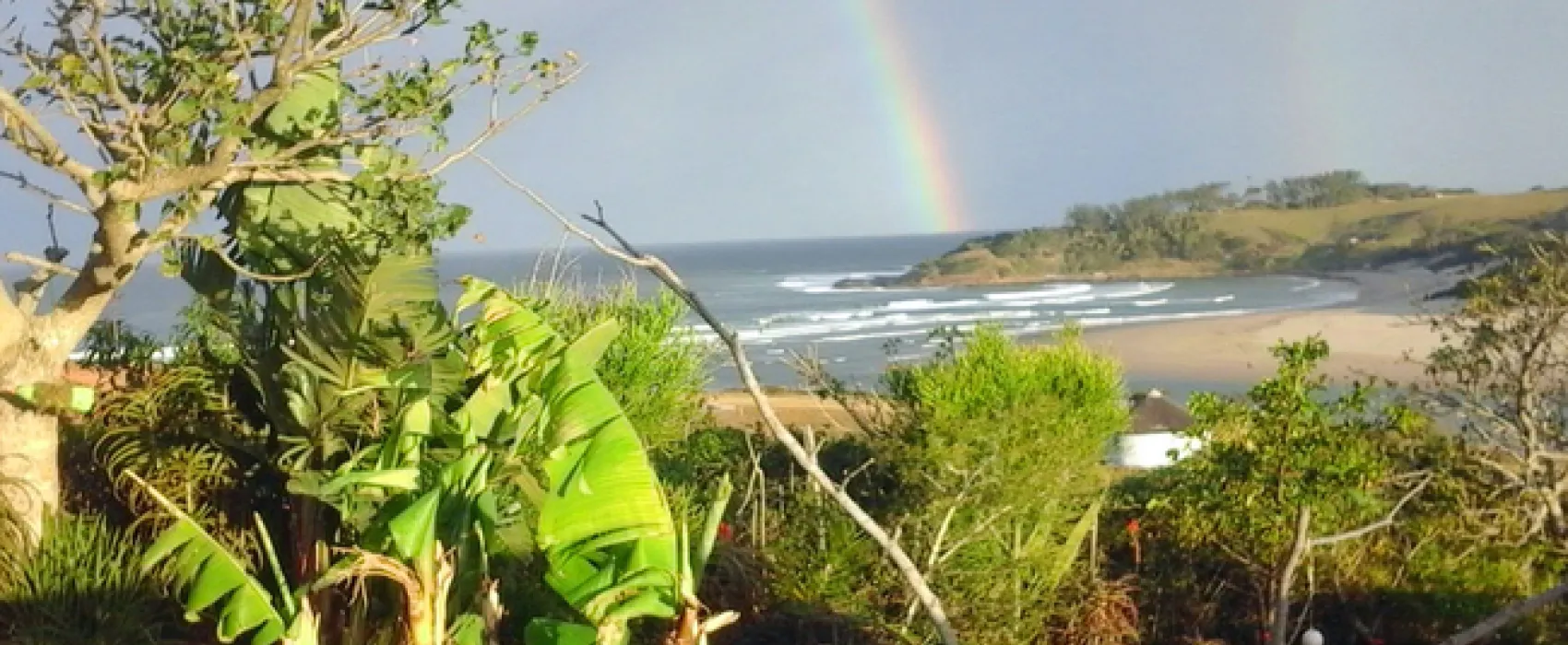 Freedom O Clock Backpackers