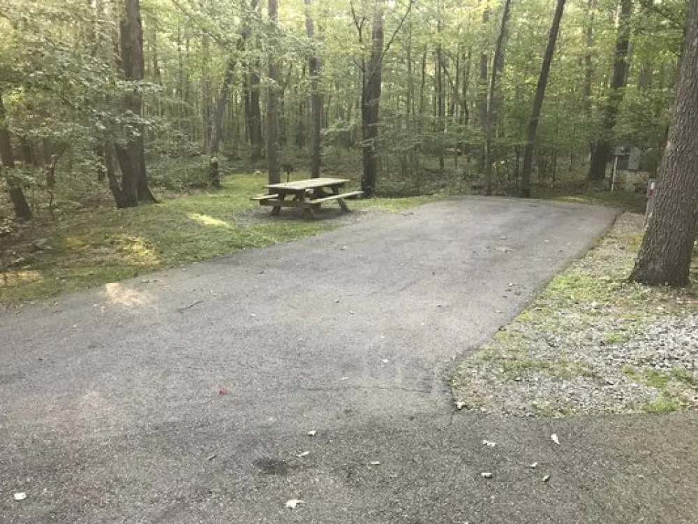 Mahlon Dickerson Reservation