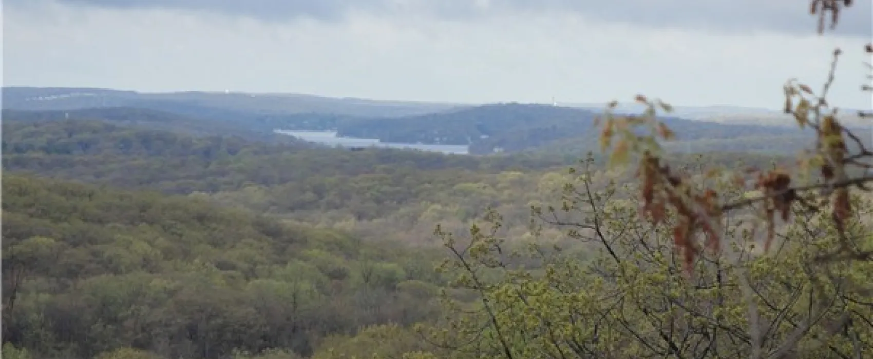 Mahlon Dickerson Reservation