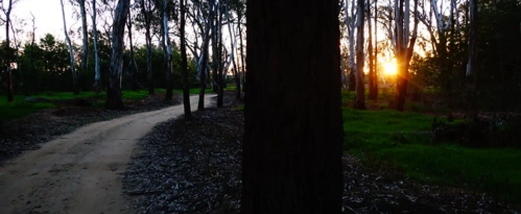Scotts Beach Campground