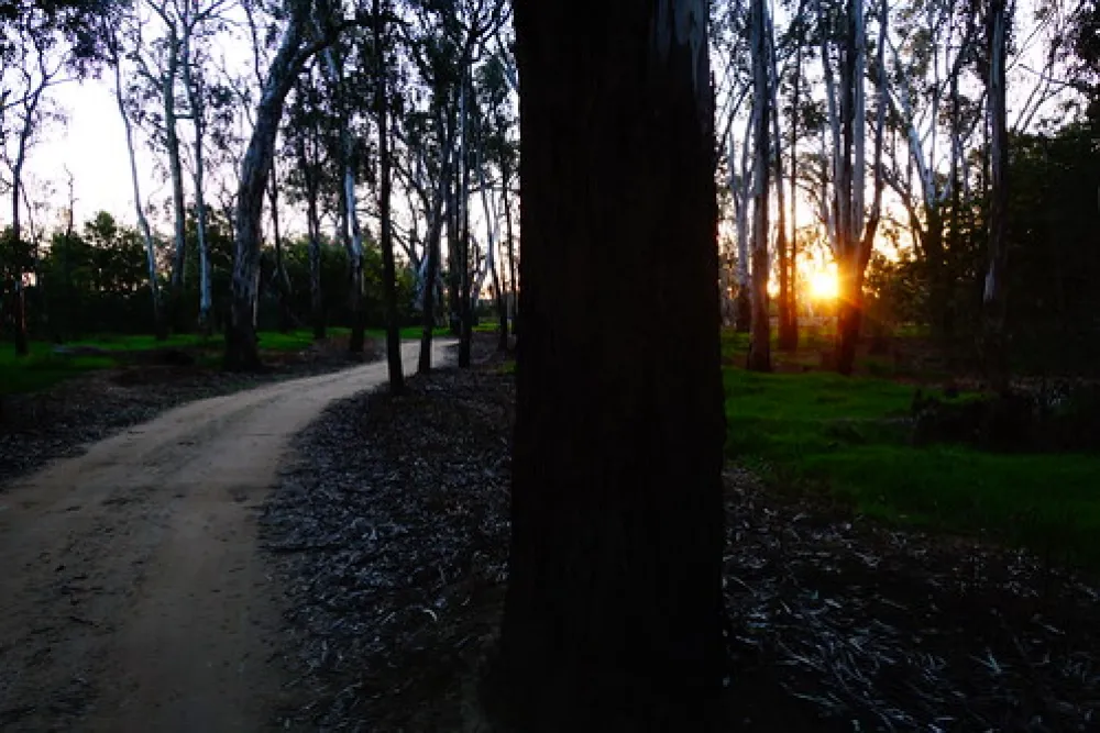 Scotts Beach Campground