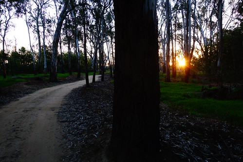 Scotts Beach Campground photo 5
