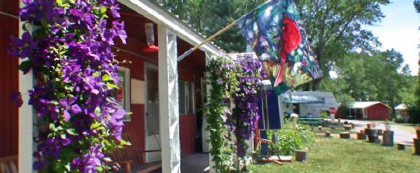 Mogote Meadow Cabins &RV Park