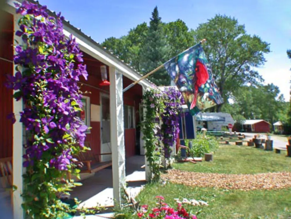 Mogote Meadow Cabins &RV Park