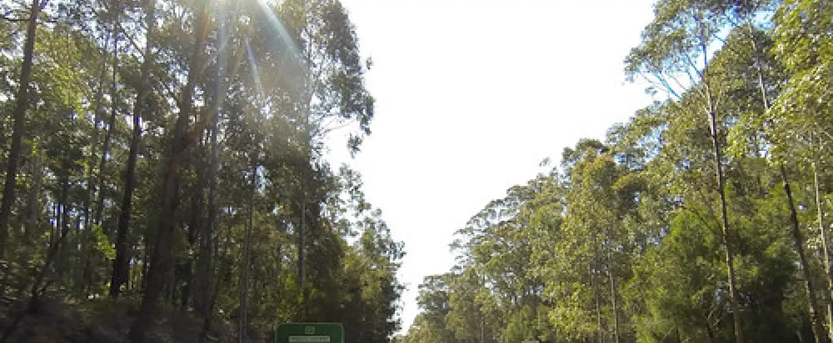 Bodalla Forest Park Campground