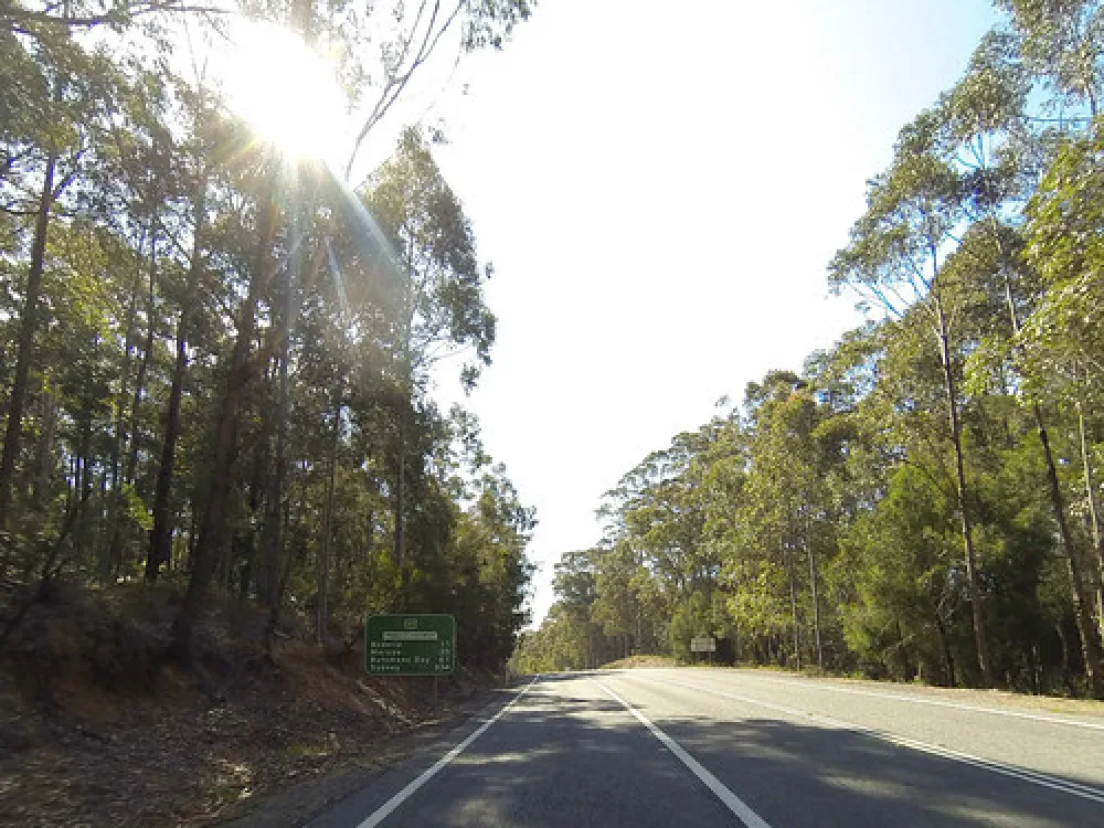 Bodalla Forest Park Campground