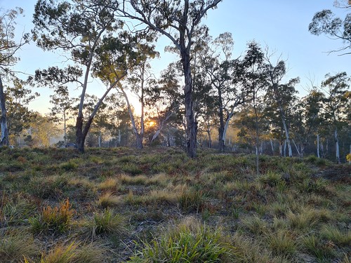 Oallen Campground photo 3