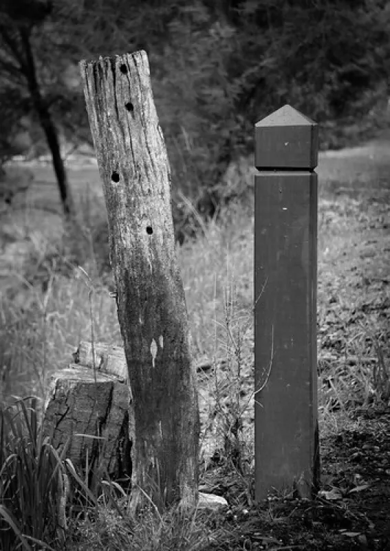 Doctors Creek Reserve Campground