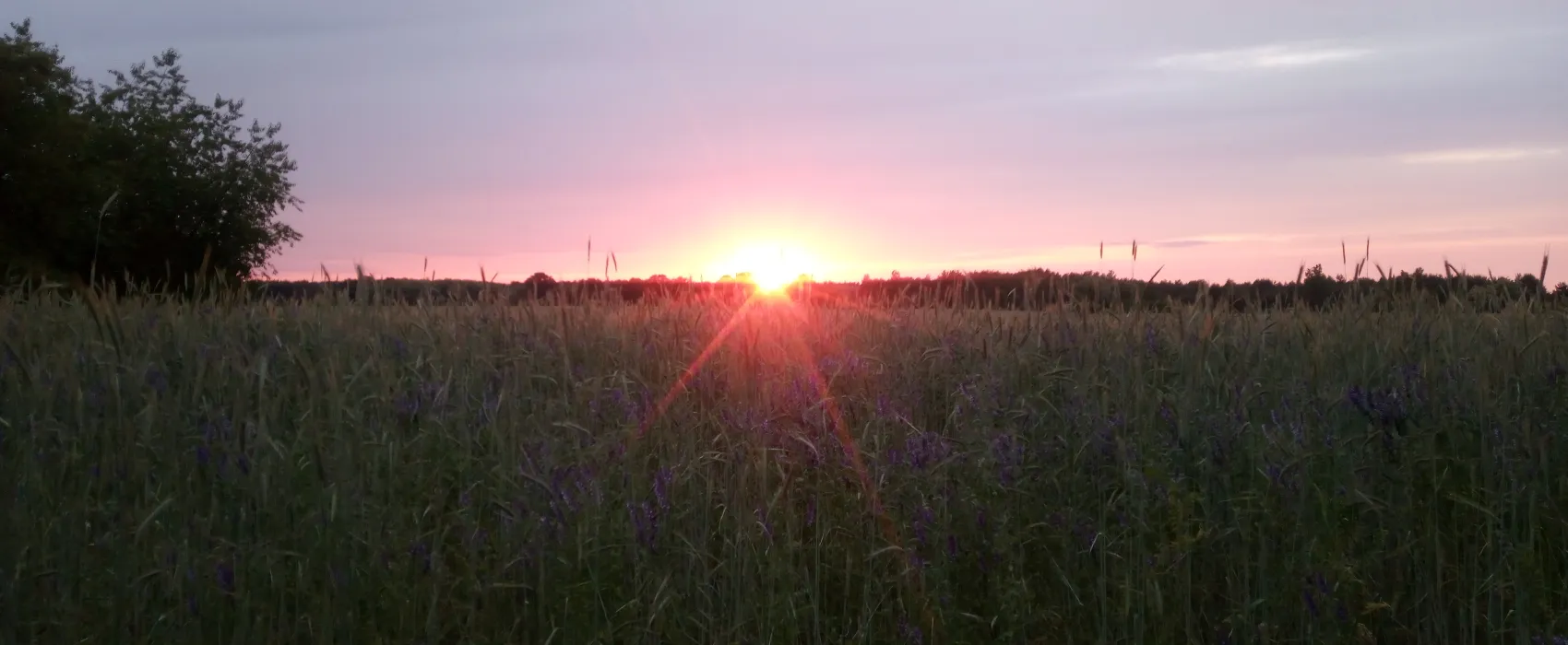 Retro Camping Gräbendorfer See