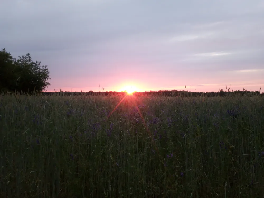 Retro Camping Gräbendorfer See