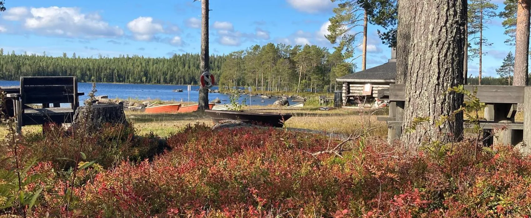 Vildmarkscamp Stora Stenträsk