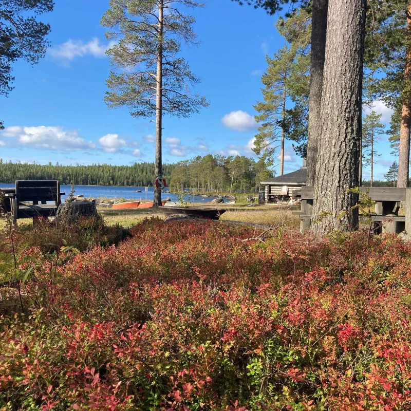 Vildmarkscamp Stora Stenträsk