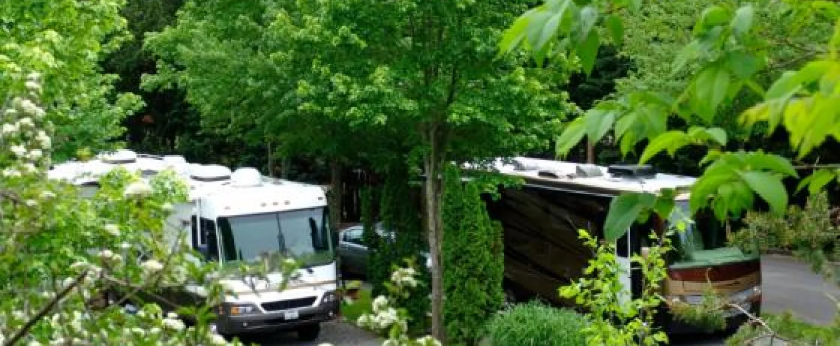 Rocky Top Campground & RV Park