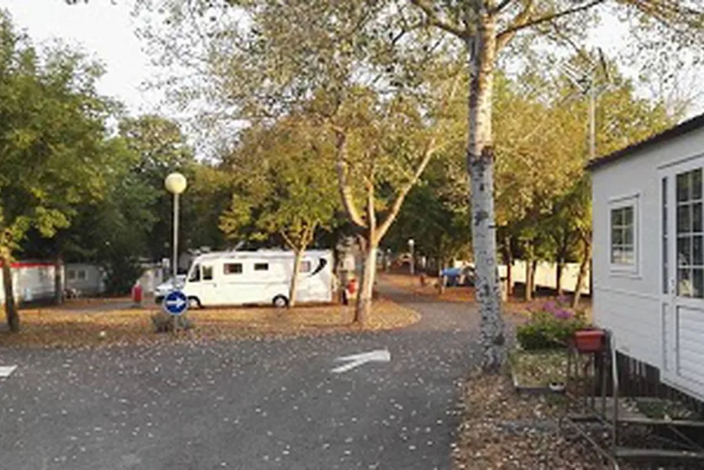 Camping Ibaia