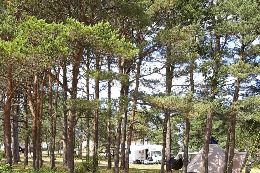 Østerby Camping