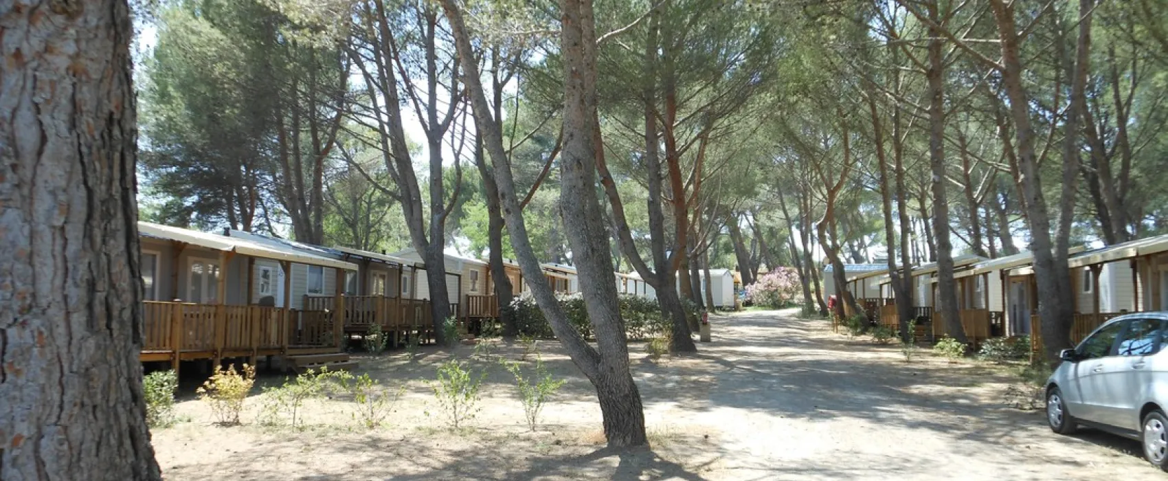 Yelloh! Village Avignon Parc