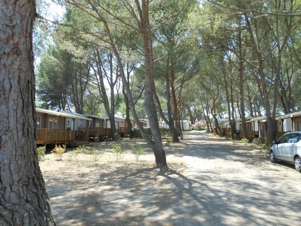 Yelloh! Village Avignon Parc