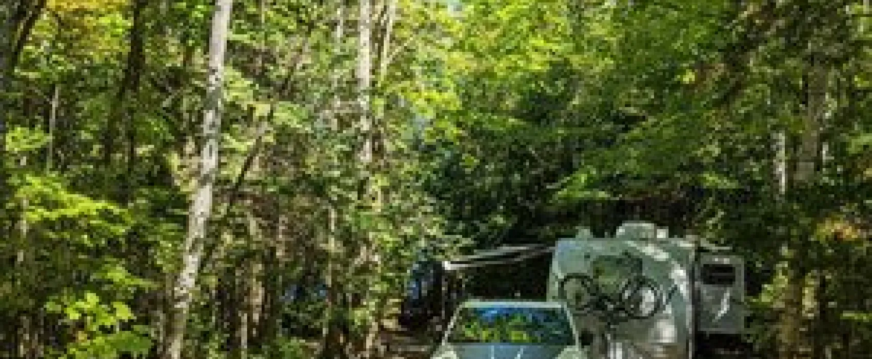 Rangeley Lake State Park