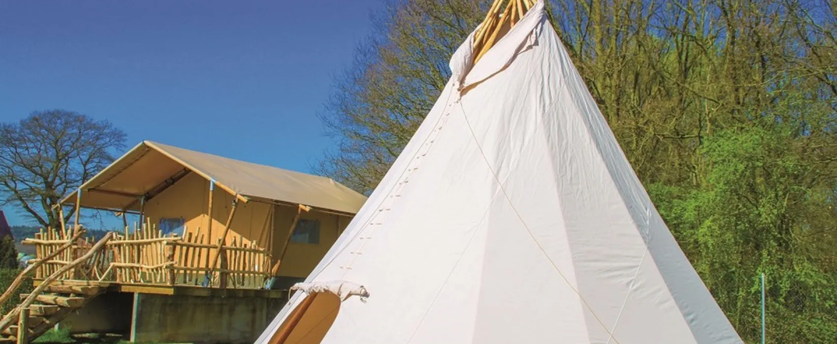 Jan Klaassen Dromenland