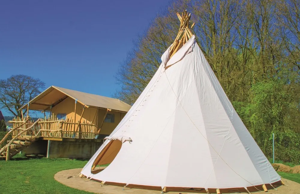 Jan Klaassen Dromenland