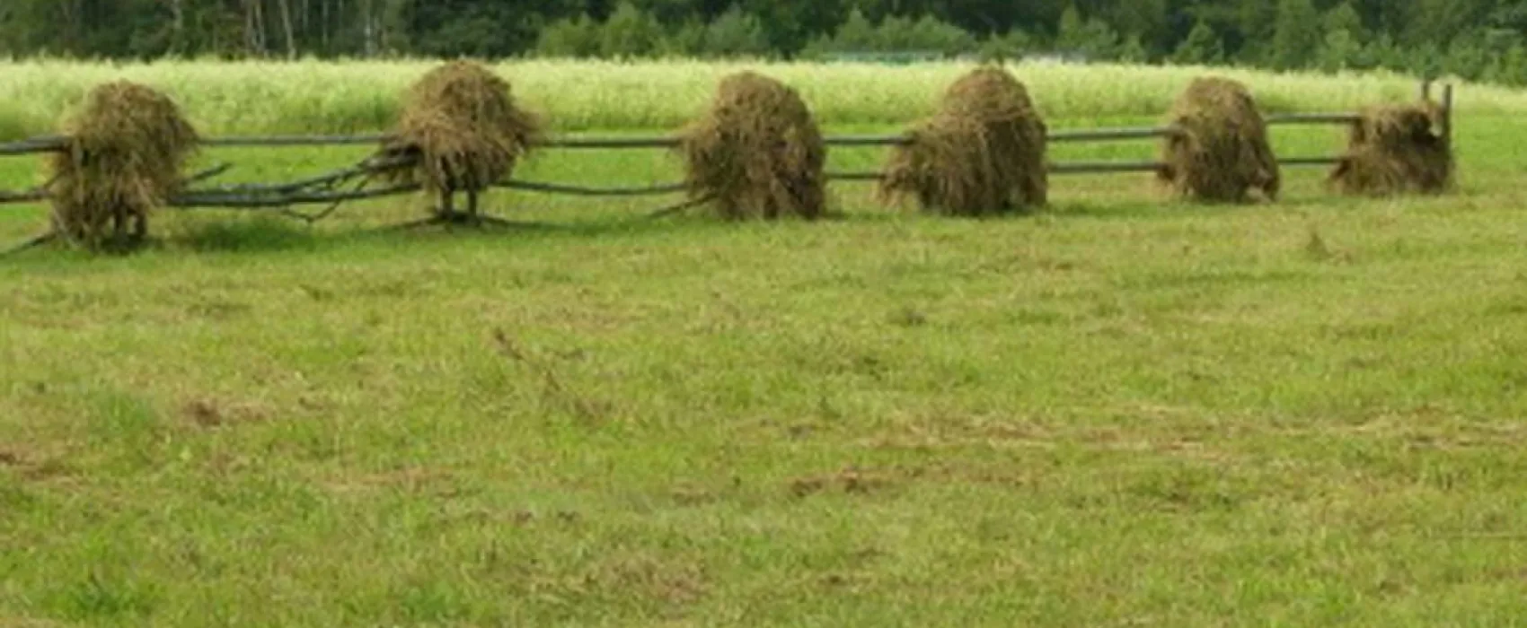 Camping Memorial - ethnographic complex Zabrodje