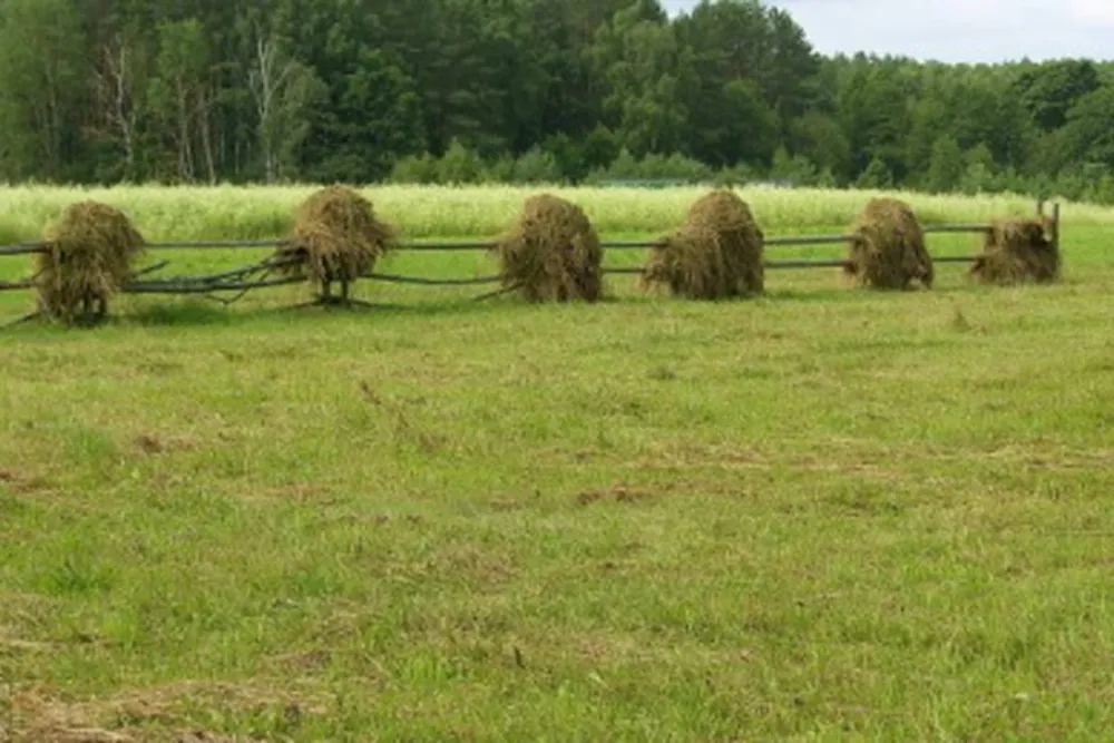 Camping Memorial - ethnographic complex Zabrodje