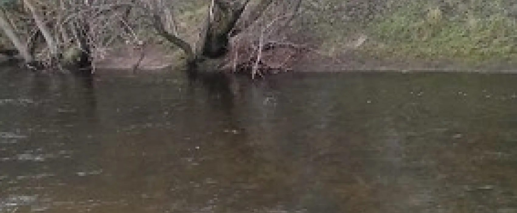 Anglers Rest Campground