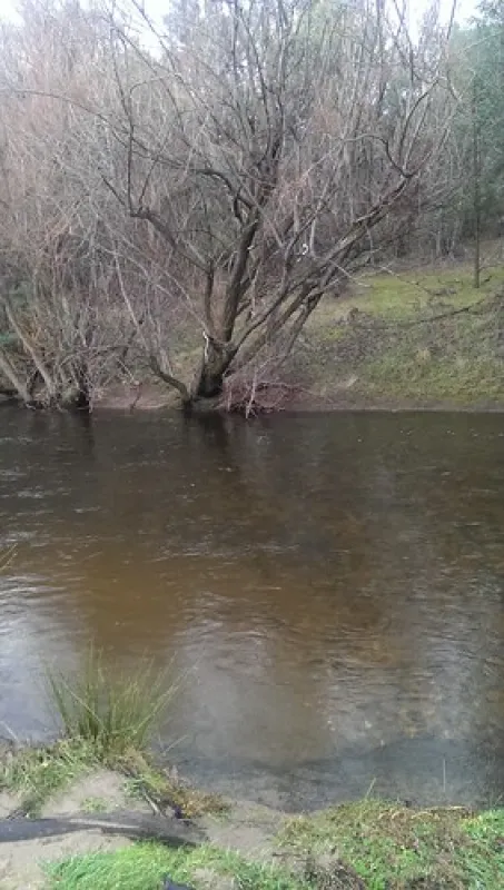 Anglers Rest Campground