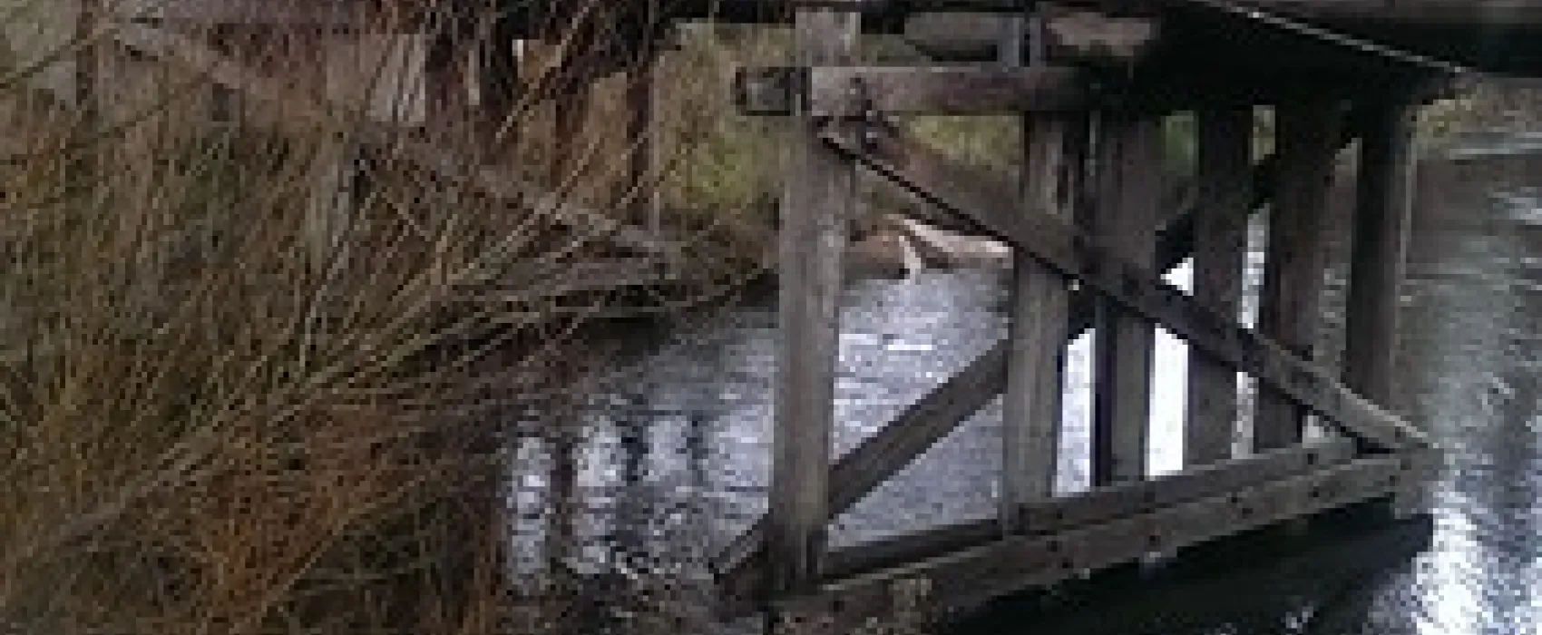 Anglers Rest Campground