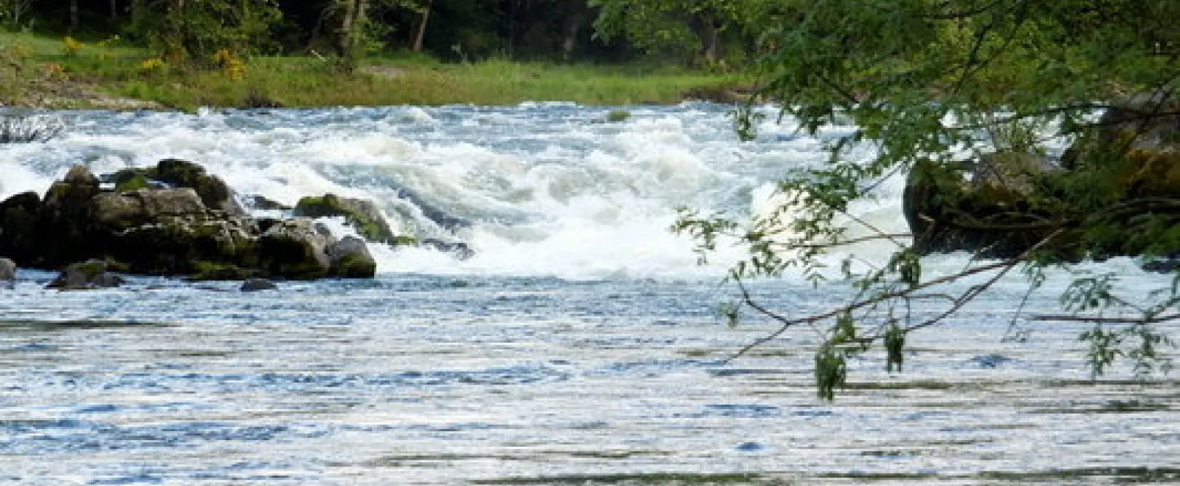 Waterloo County Park