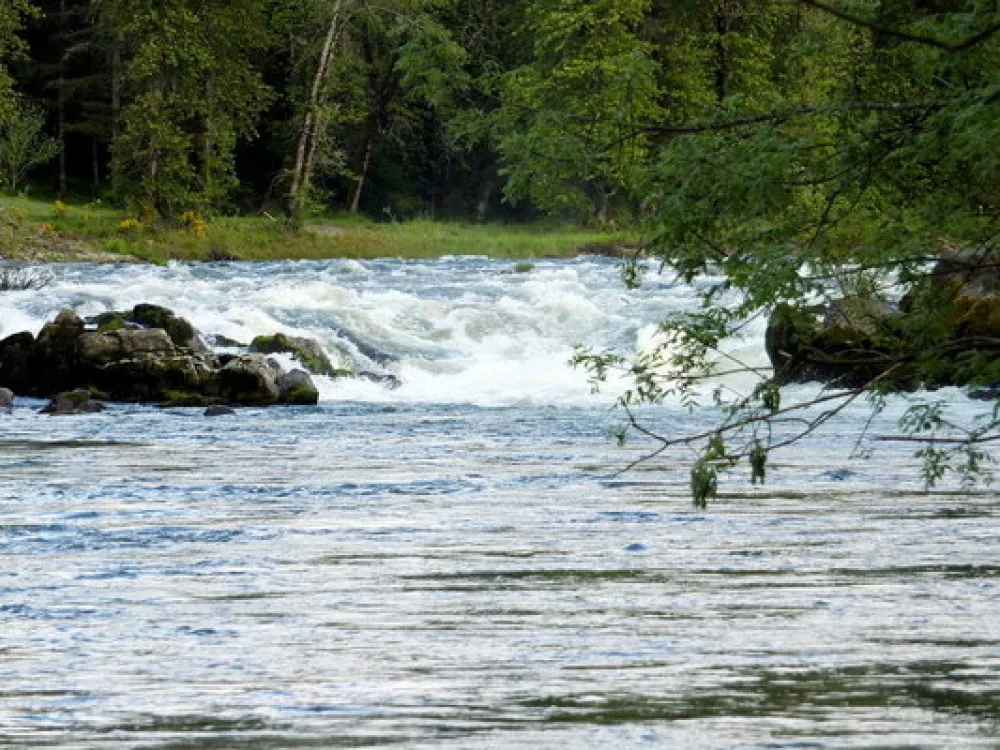 Waterloo County Park